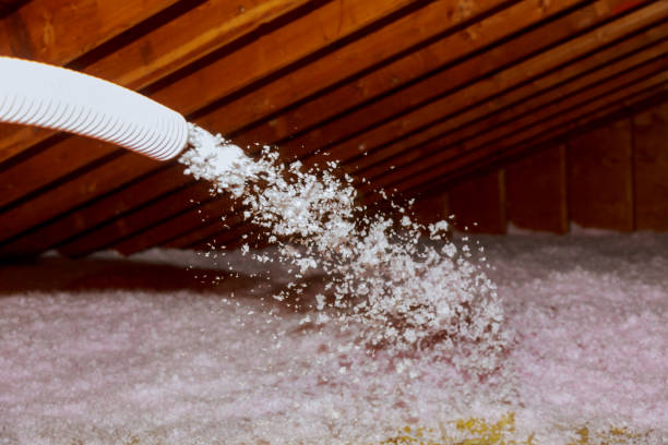 Insulation Repair Services in Houma, LA