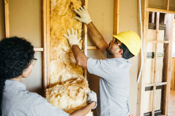 Best Insulation Removal  in Houma, LA